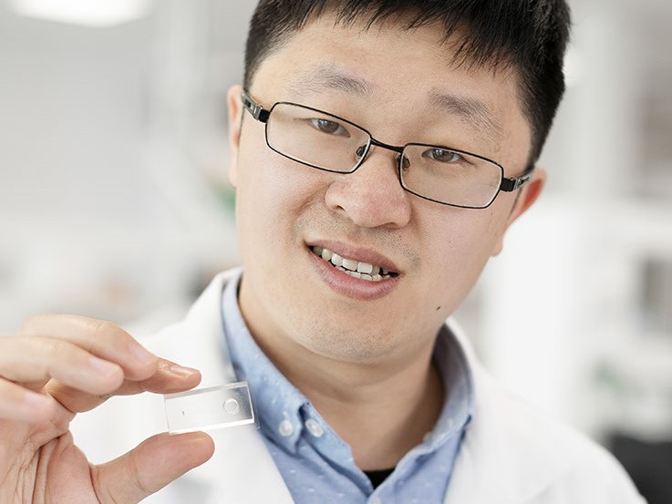 Arnold — Founder & Lead Researcher